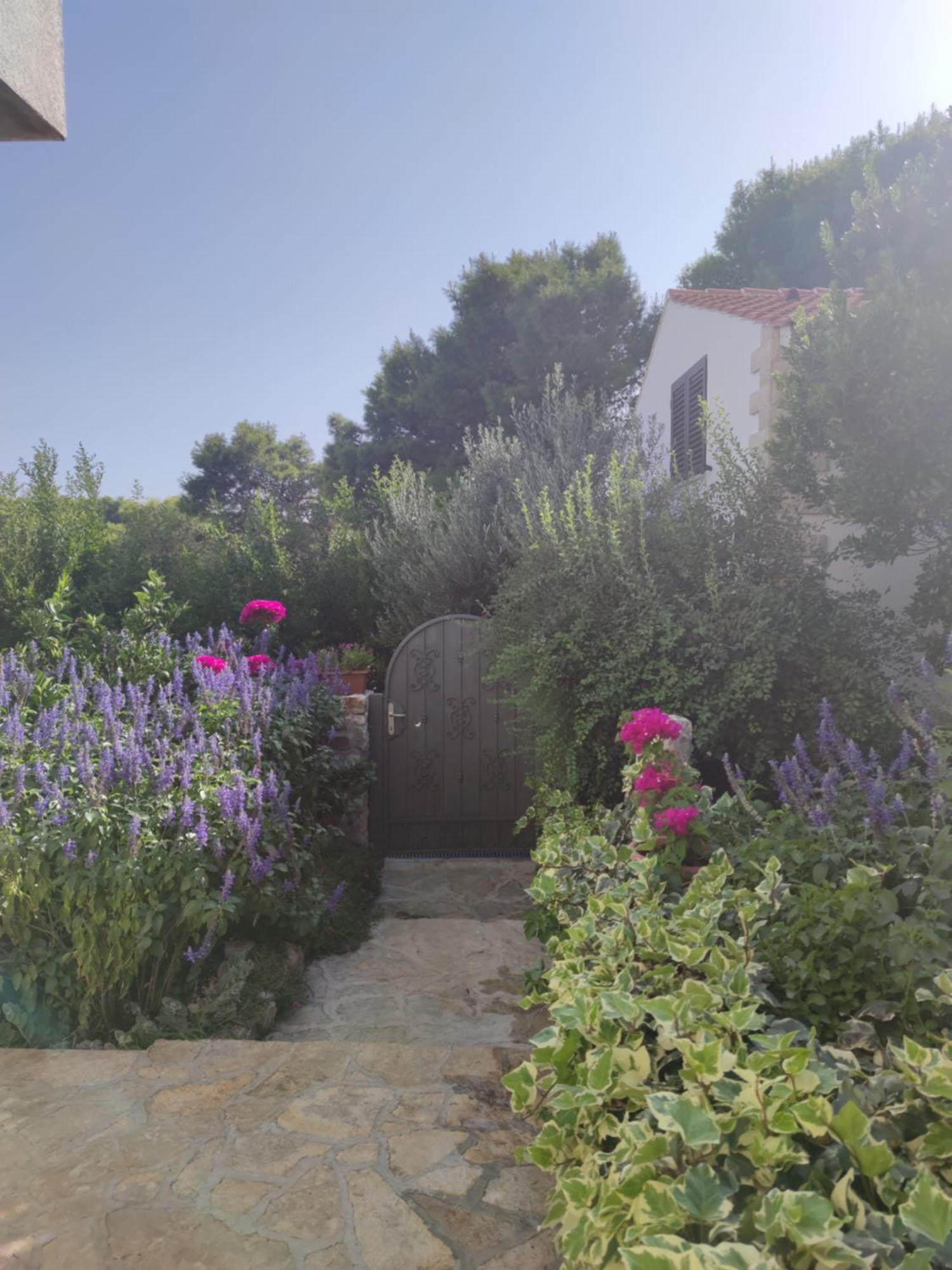 Vacation House Milka Milna  Zewnętrze zdjęcie